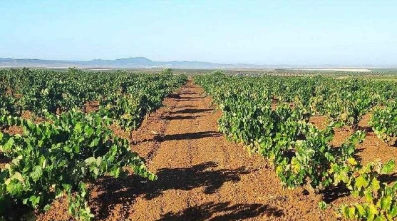 Badajoz - Santa Marta de los Barros - 57960m2