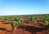 Non-developable land for sale on España, Santa Marta de los Barros, ref: TR321686 photo
