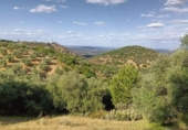 Terreno no urbanizable en venta en la España, Córdoba, ref: TR292397 foto