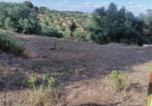 Terreno no urbanizable en venta en la España, Córdoba, ref: TR292397 foto