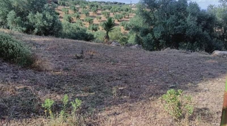 Córdoba - Córdoba - 2710m2