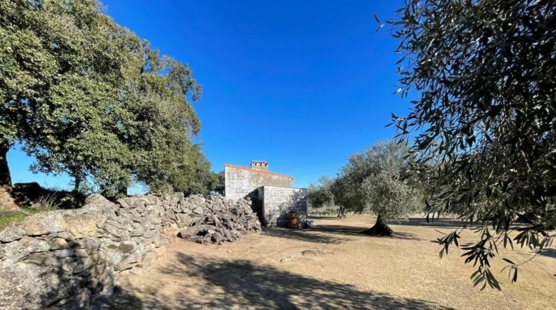 Cáceres - Montánchez - 2800m2