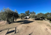 Terreno no urbanizable en venta en la España, Montánchez, ref: TR219977 foto