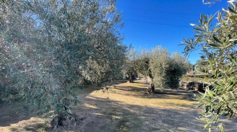 Cáceres - Montánchez - 2800m2