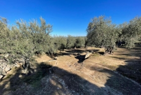 Foto 15