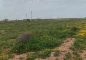 House with land for sale on España, Alcázar de San Juan, ref: TR297127 photo