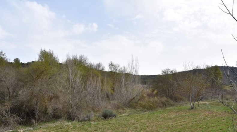 Teruel - Arens de Lledó - 16000m2