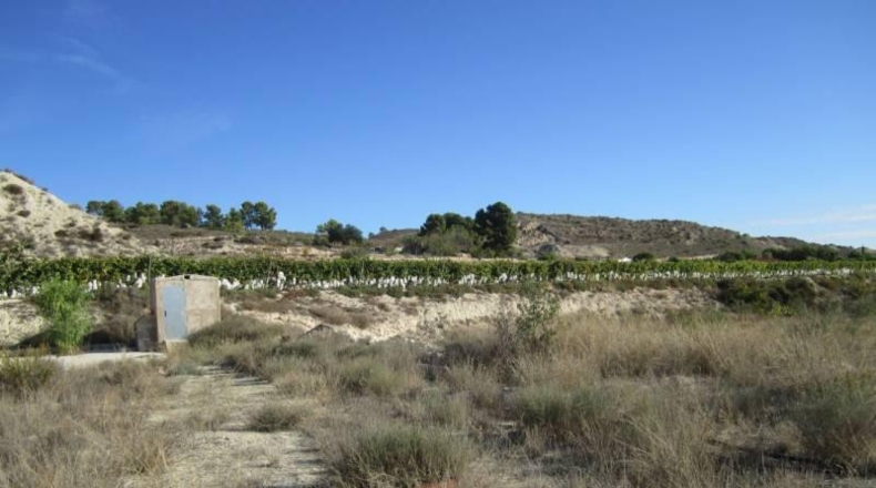 Alicante - la Romana - 9680m2