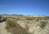 Parcel·la urbanitzable en venda a la España, la Romana, ref.: TR191752 foto