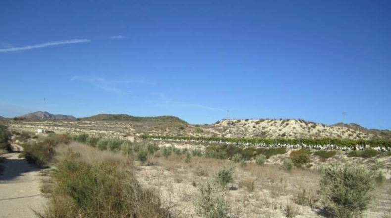 Alicante - la Romana - 9680m2