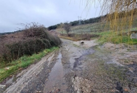 San Román de Bembibre 3880&nbsp;m²
