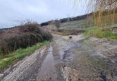 Non-developable land for sale on España, San Román de Bembibre, ref: TR405541 photo