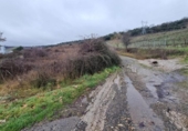 Non-developable land for sale on España, San Román de Bembibre, ref: TR405541 photo