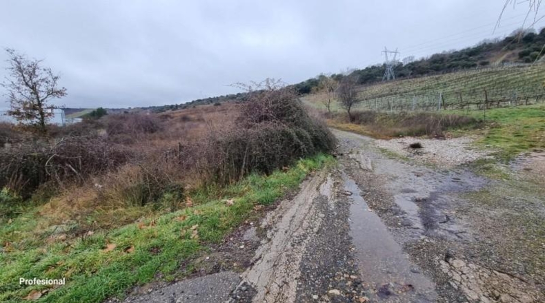 Leon - San Román de Bembibre - 3880m2