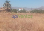 Земля на продажу у города Lorca Фото