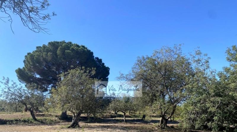 Tarragona - el Perelló - 18167m2