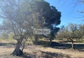 Terreno no urbanizable en venta en la España, el Perelló, ref: TR248171 foto