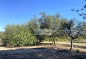 Terreno no urbanizable en venta en la España, el Perelló, ref: TR248171 foto