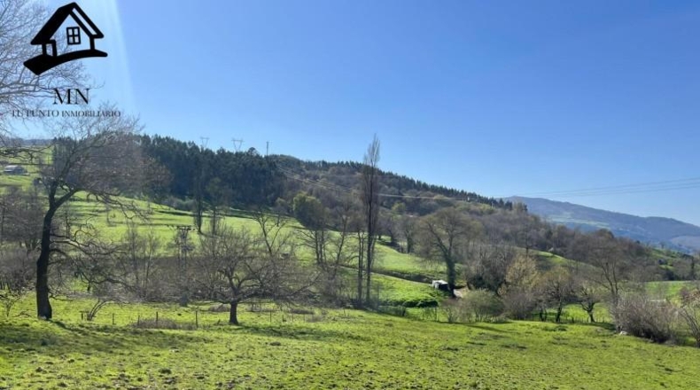 Cantabria - Villafufre - 10259m2