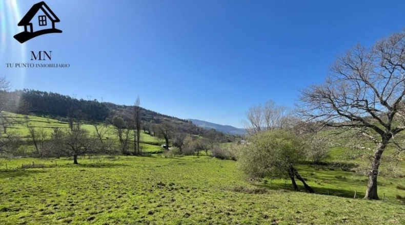 Cantabria - Villafufre - 10259m2