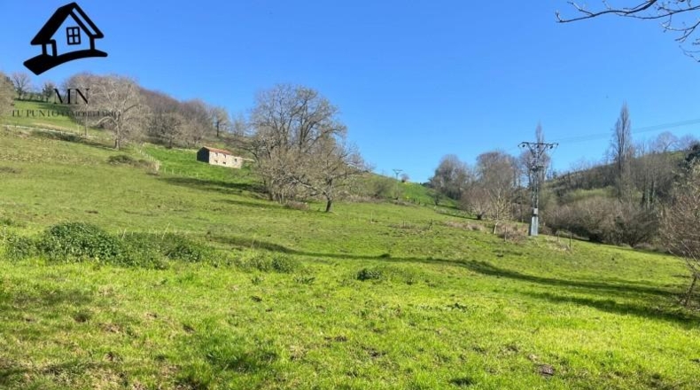 Cantabria - Villafufre - 10259m2