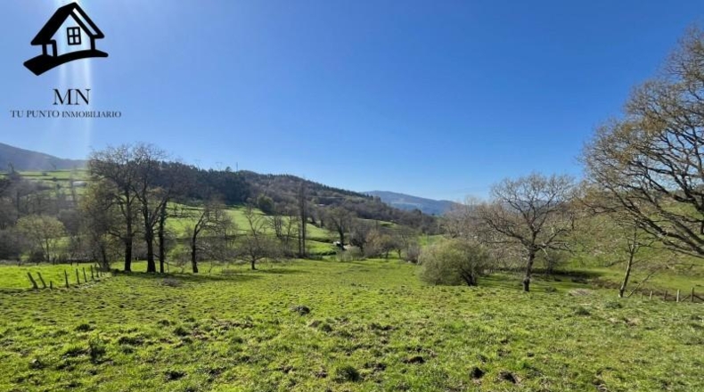 Cantabria - Villafufre - 10259m2