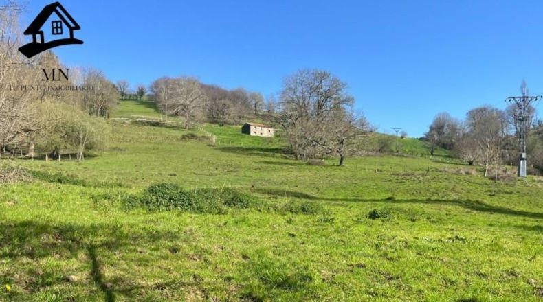 Cantabria - Villafufre - 10259m2