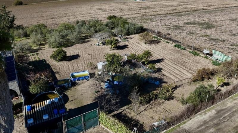 Sevilla - Las Cabezas de San Juan - 1500m2