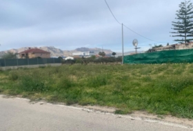 Murcia 1000&nbsp;m²