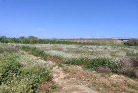 Formentera del Segura 201&nbsp;m²