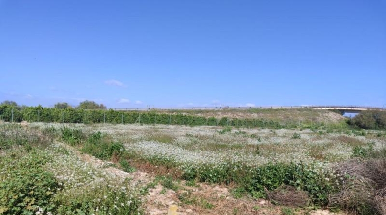 Alicante - Formentera del Segura - 201m2