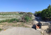 Non-developable land for sale on España, Formentera del Segura, ref: TR403536 photo