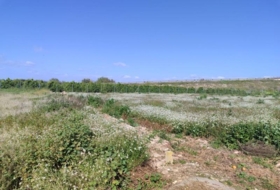 Formentera del Segura 201&nbsp;m²