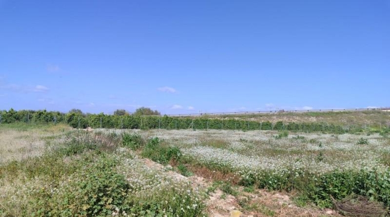 Alicante - Formentera del Segura - 201m2