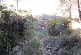Foto 9