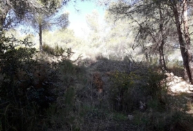 Foto 11