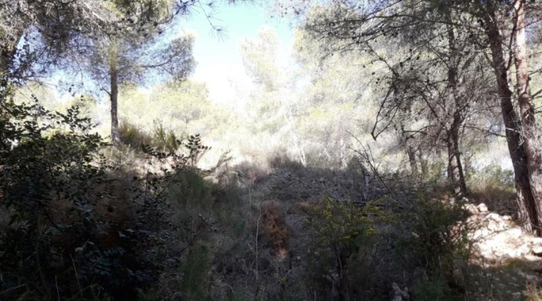 Tarragona - Cunit - 947m2