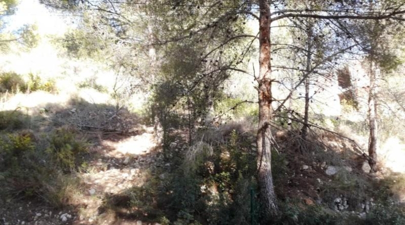Tarragona - Cunit - 947m2
