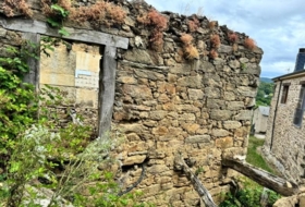 Foto 6