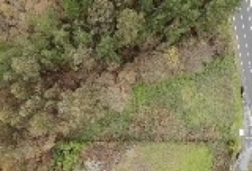 Oza 4300&nbsp;m²