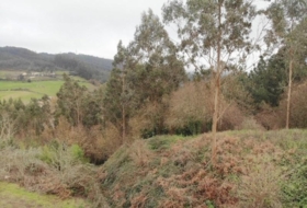Oza 4300&nbsp;m²