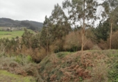 Terreno no urbanizable en venta en la España, Oza, ref: TR397158 foto