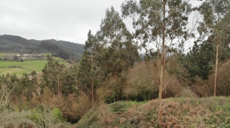 Valencia - Buñol - 4300m2