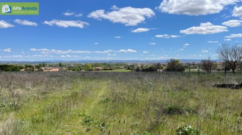 Burgos - Aranda de Duero - 4439m2