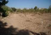 Terreno no urbanizable en venta en la España, Calasparra, ref: TR119459 foto