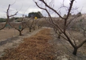 Terreno no urbanizable en venta en la España, Calasparra, ref: TR119459 foto