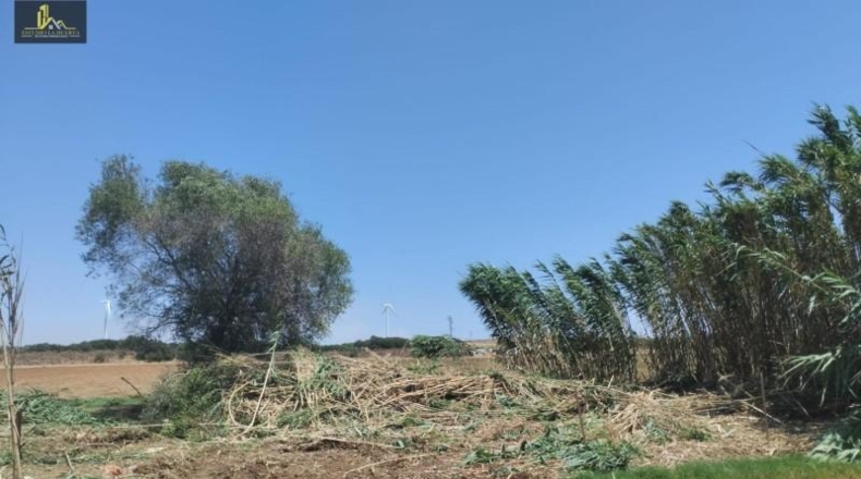 Cadiz - Jerez de la Frontera - 500m2
