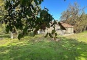 Detached villa with land for sale on España, Parada de Amoeiro, ref: TR309027 photo