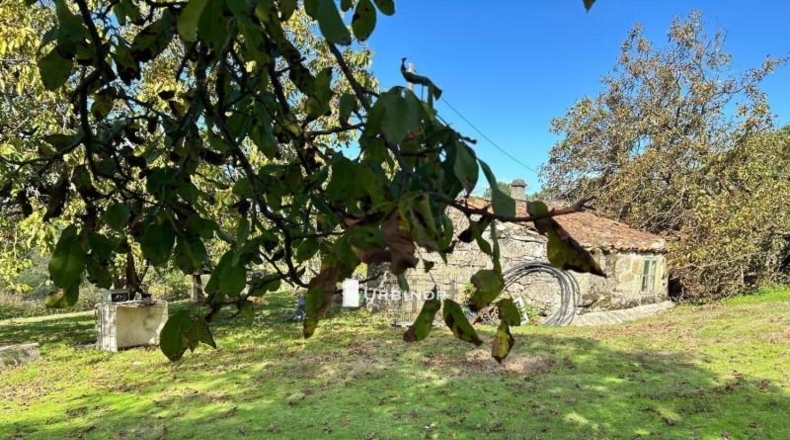 Orense - Amoeiro - 1004m2