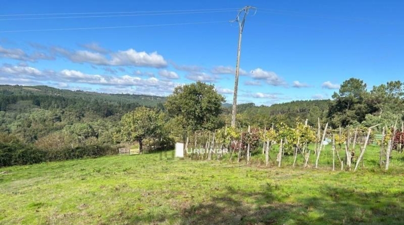 Orense - Amoeiro - 1004m2